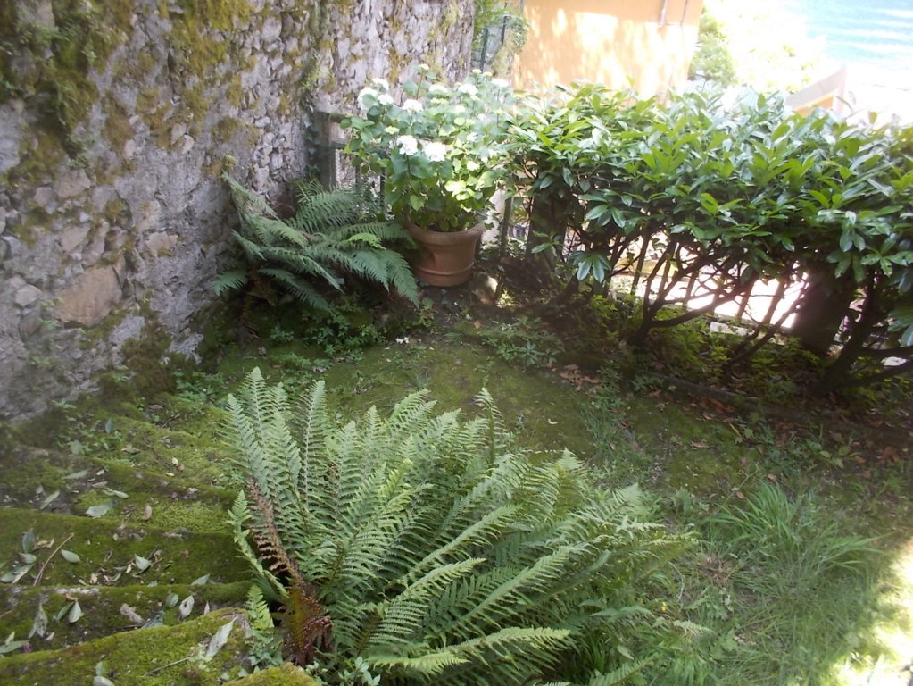 DSCN3473 (FILEminimizer)