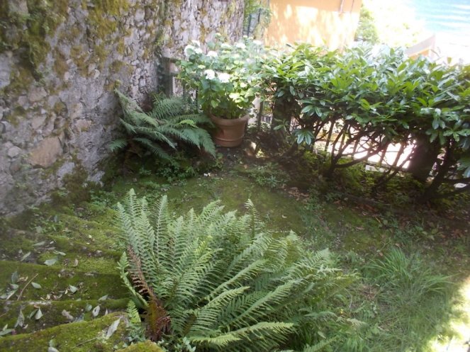 DSCN3473 (FILEminimizer)