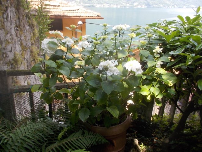 DSCN3474 (FILEminimizer)