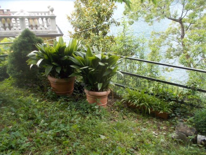 DSCN3477 (FILEminimizer)