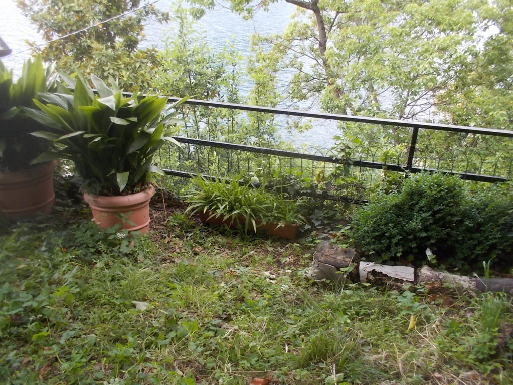 DSCN3479 (FILEminimizer)