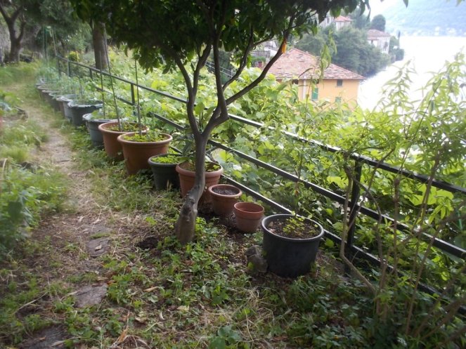 DSCN3480 (FILEminimizer)