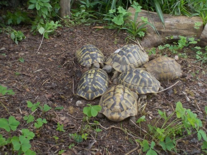 DSCN3520 (FILEminimizer)