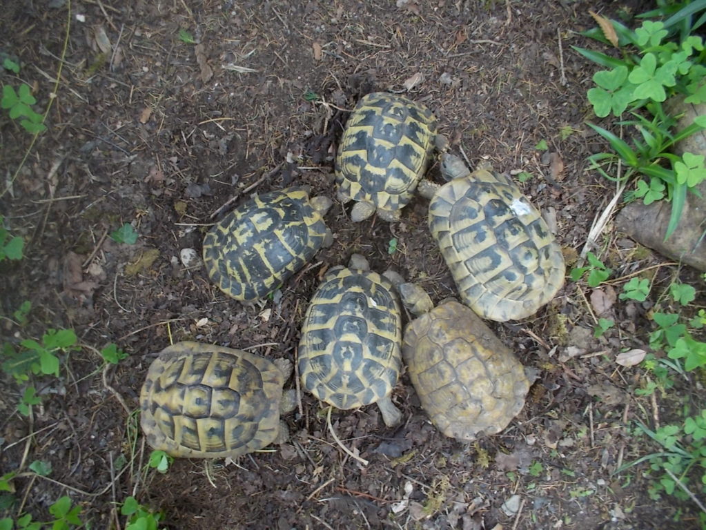 DSCN3524 (FILEminimizer)