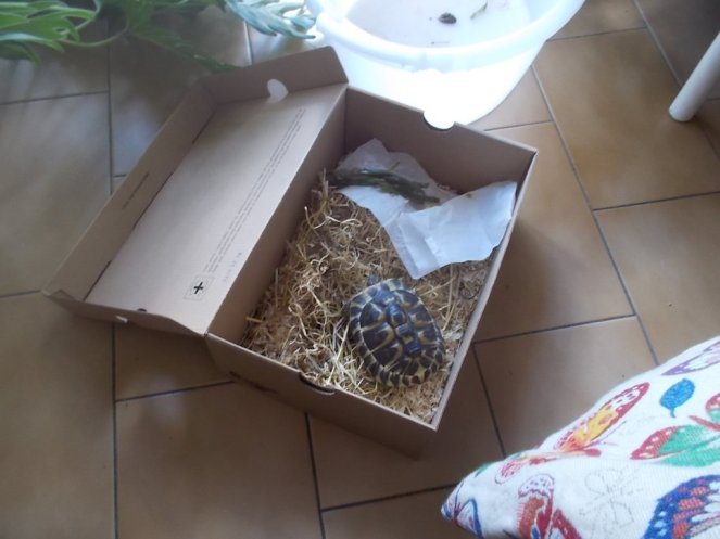 DSCN3540 (FILEminimizer)