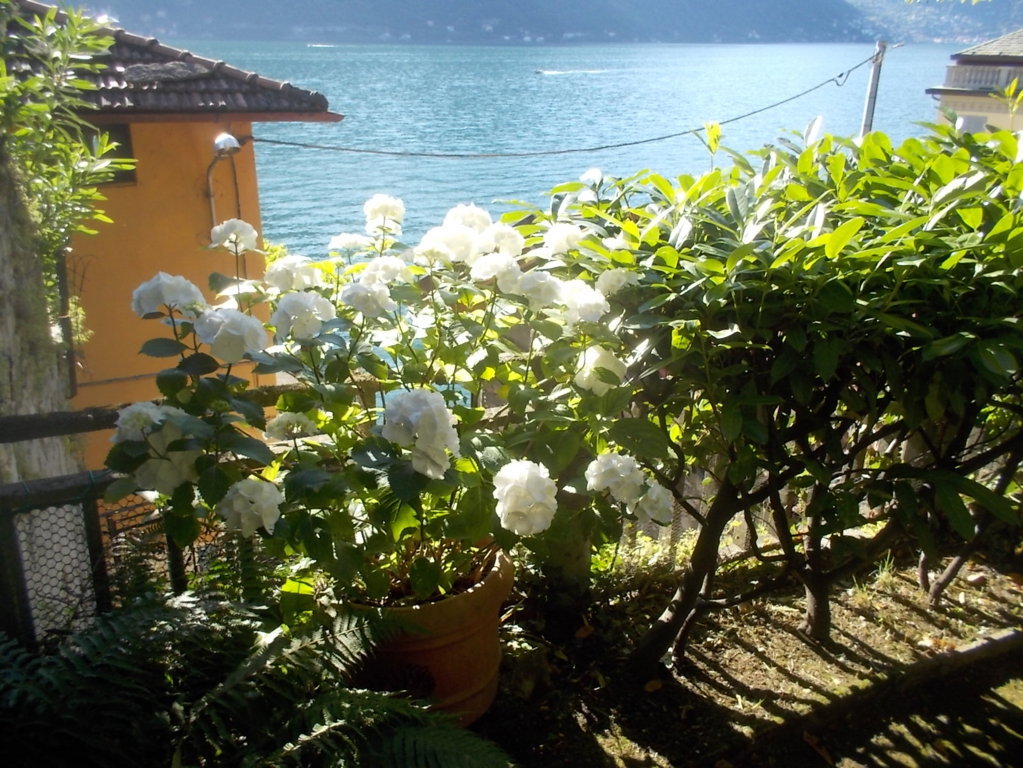 DSCN3543 (FILEminimizer)