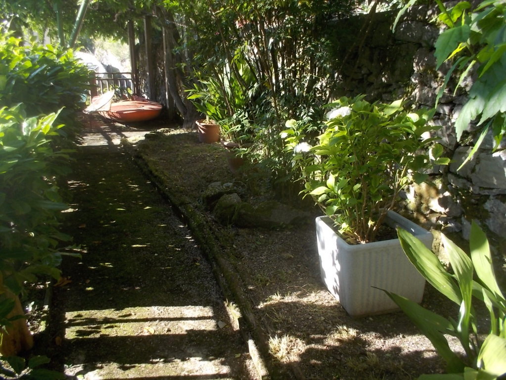 DSCN3545 (FILEminimizer)