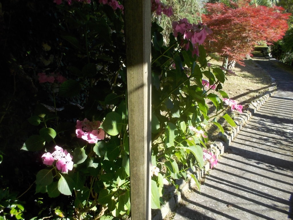 DSCN3549 (FILEminimizer)