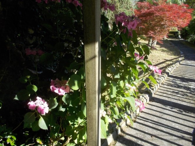 DSCN3549 (FILEminimizer)