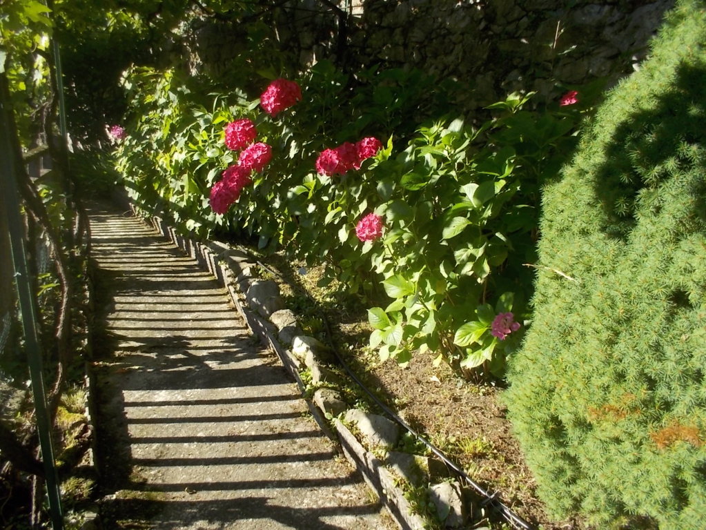 DSCN3551 (FILEminimizer)