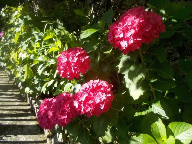 DSCN3553 (FILEminimizer)