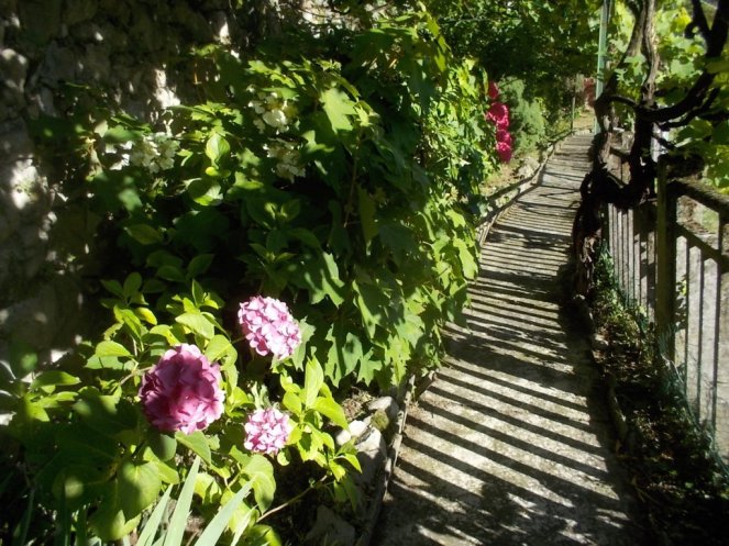 DSCN3556 (FILEminimizer)