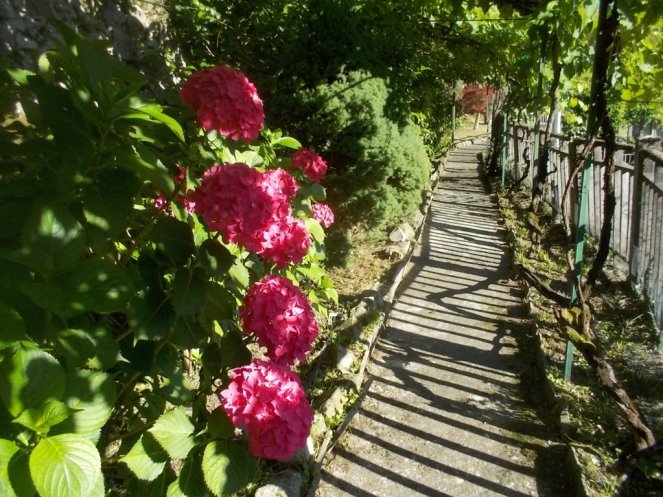 DSCN3557 (FILEminimizer)