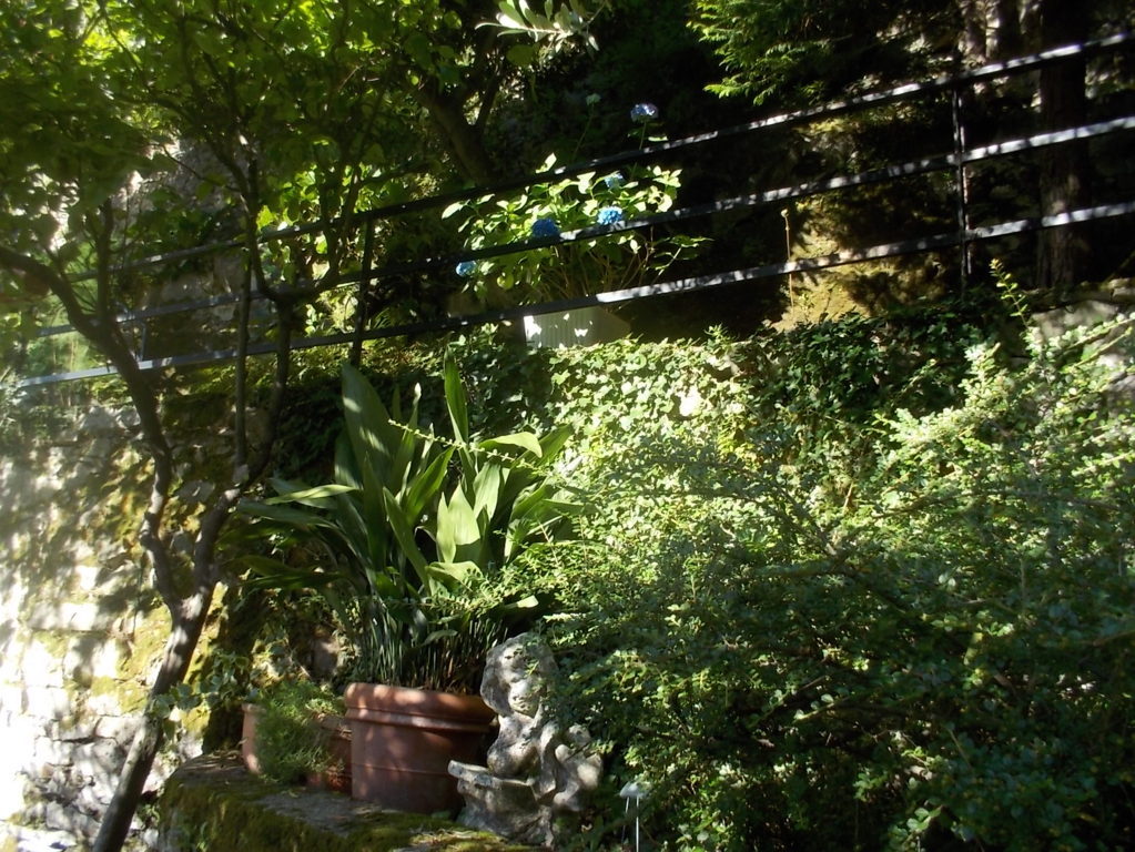 DSCN3559 (FILEminimizer)