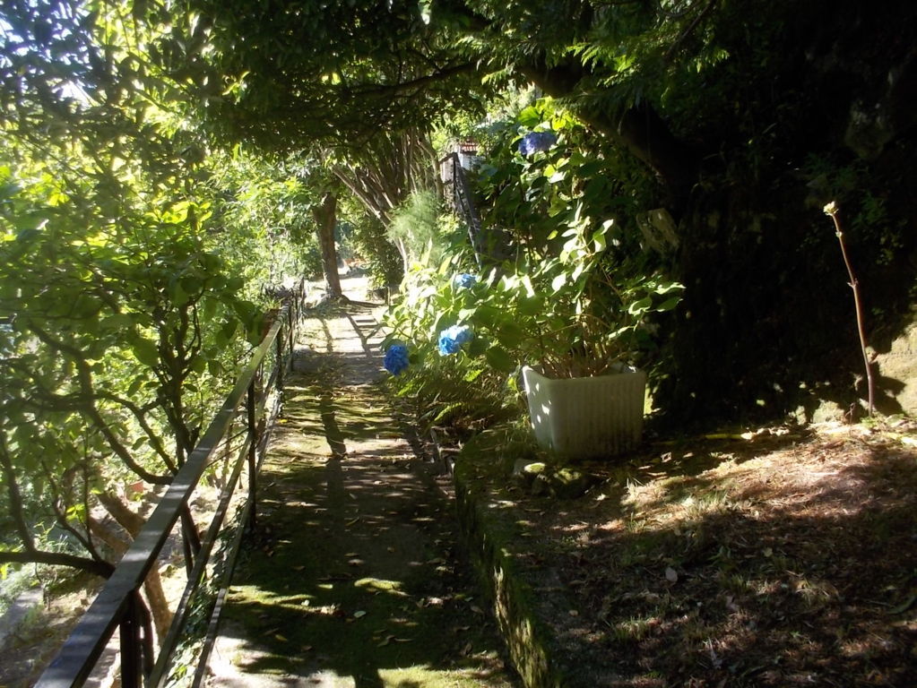 DSCN3560 (FILEminimizer)