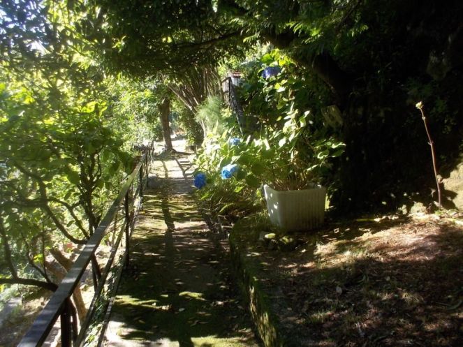 DSCN3560 (FILEminimizer)