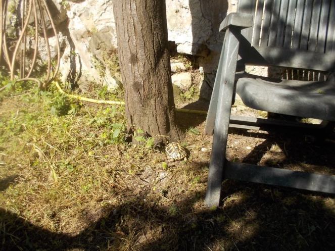 DSCN3565 (FILEminimizer)