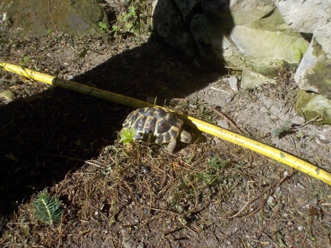 DSCN3567 (FILEminimizer)