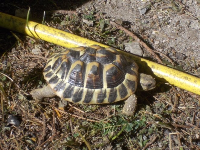 DSCN3568 (FILEminimizer)