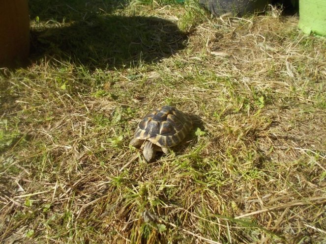 DSCN3570 (FILEminimizer)