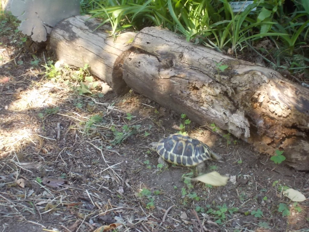 DSCN3579 (FILEminimizer)