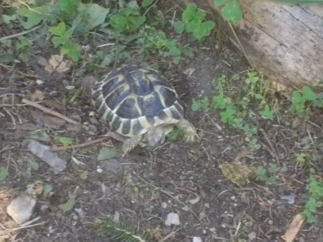 DSCN3585 (FILEminimizer)