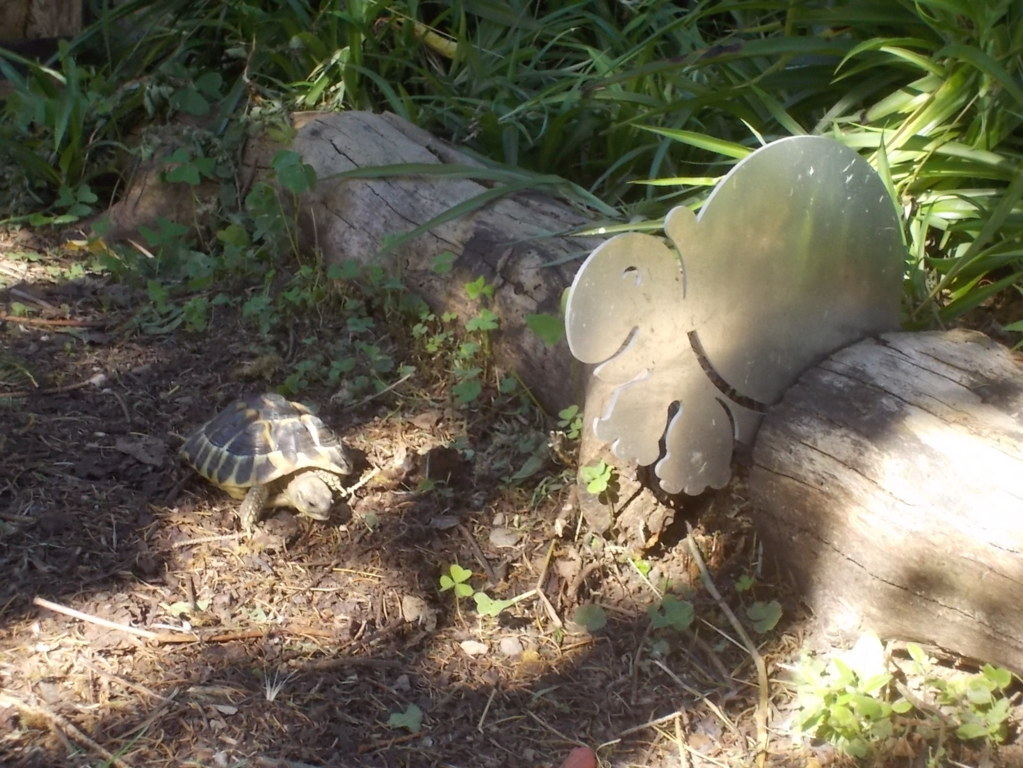 DSCN3586 (FILEminimizer)