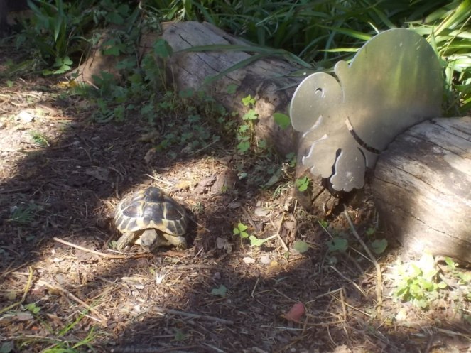 DSCN3587 (FILEminimizer)