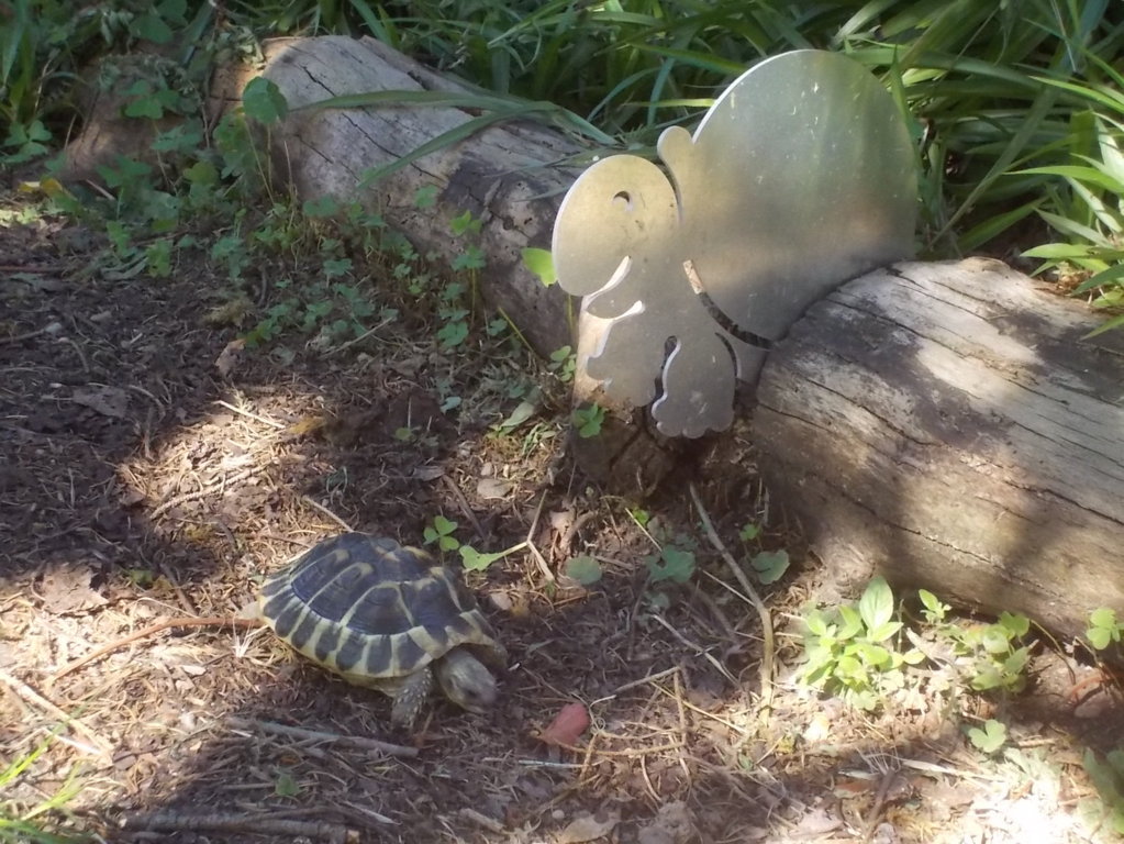 DSCN3588 (FILEminimizer)