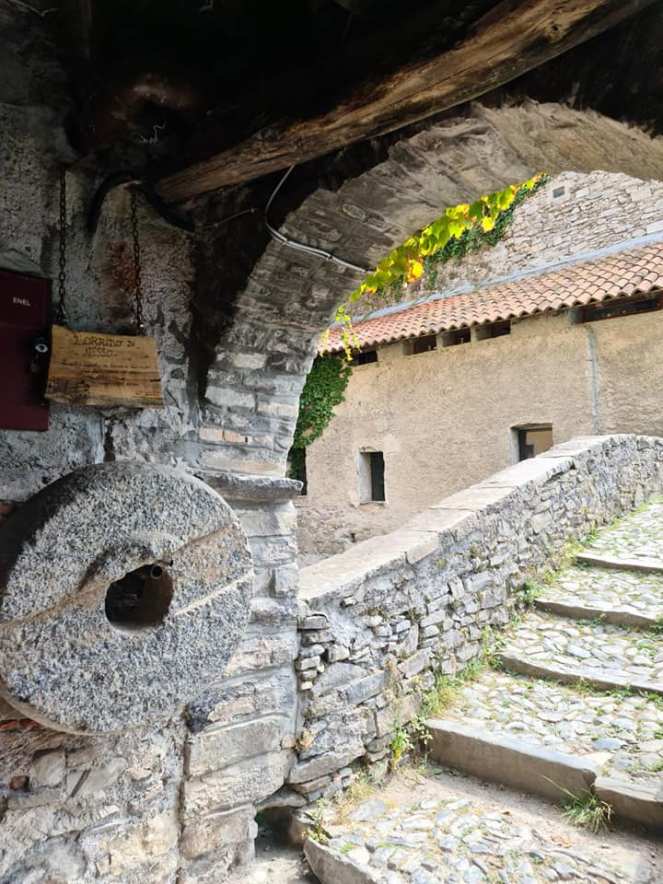 109825264_10217900113320038_6561100702927277396_n