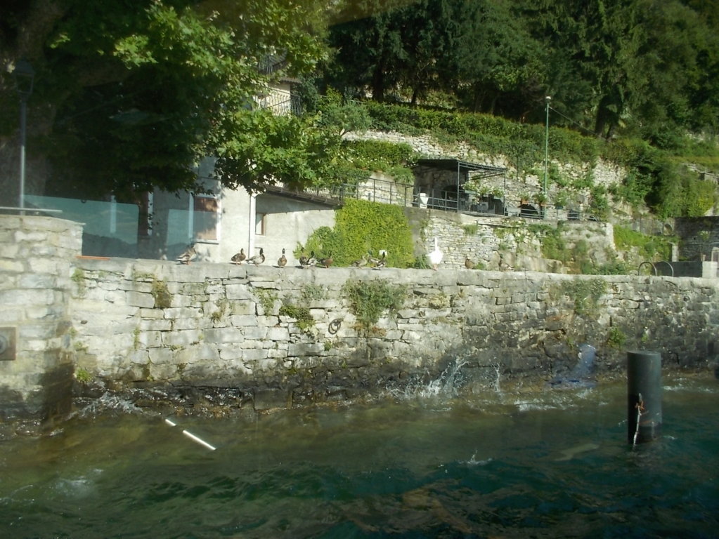 DSCN3662 (FILEminimizer)