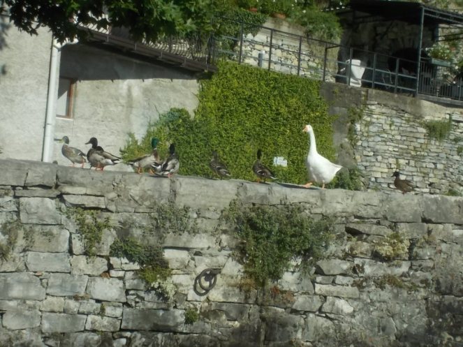 DSCN3663 (FILEminimizer)