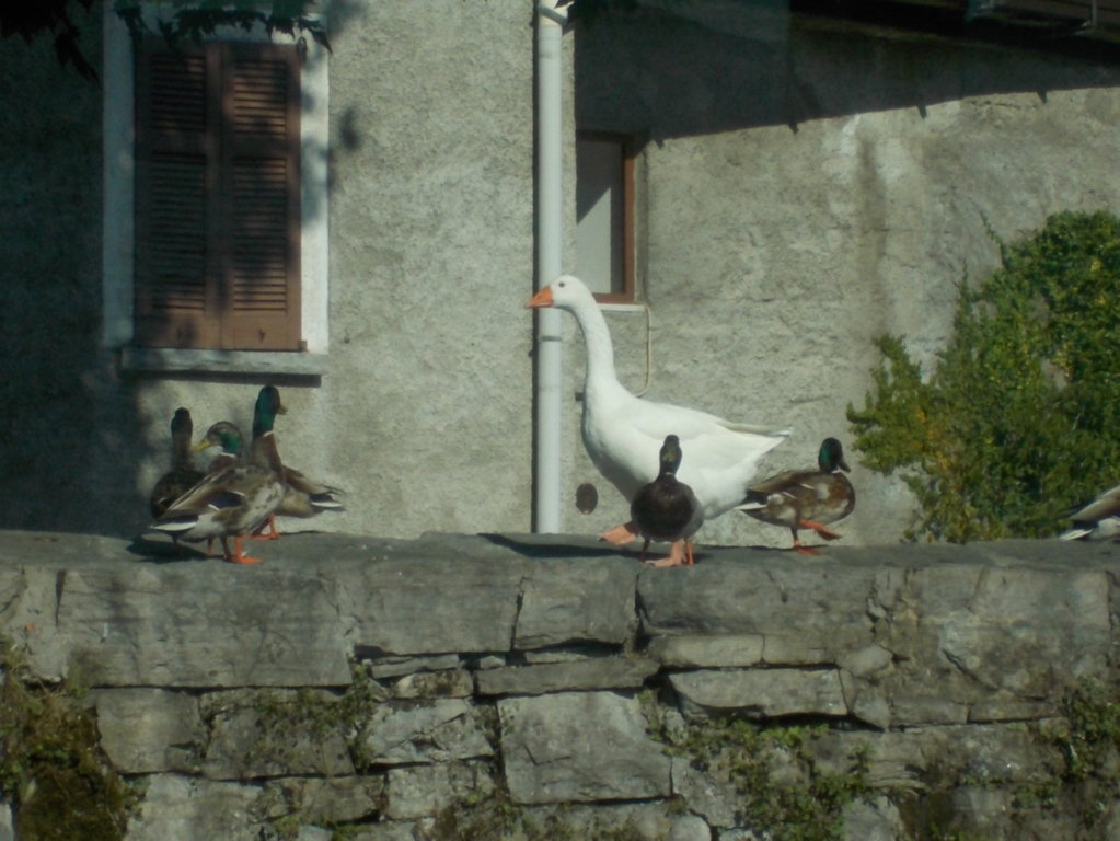 DSCN3664 (FILEminimizer)