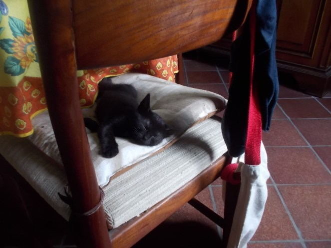 DSCN3685 (FILEminimizer)