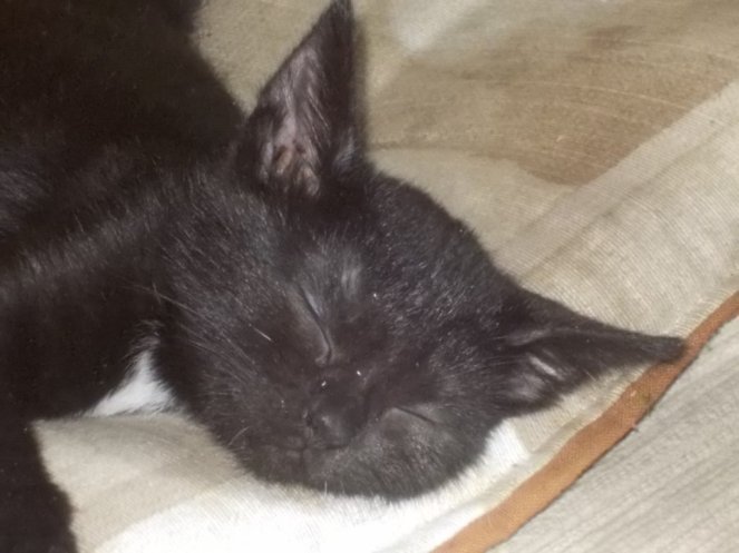 DSCN3687 (FILEminimizer)