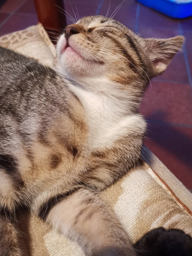 IMG_20200724_205411 (FILEminimizer)