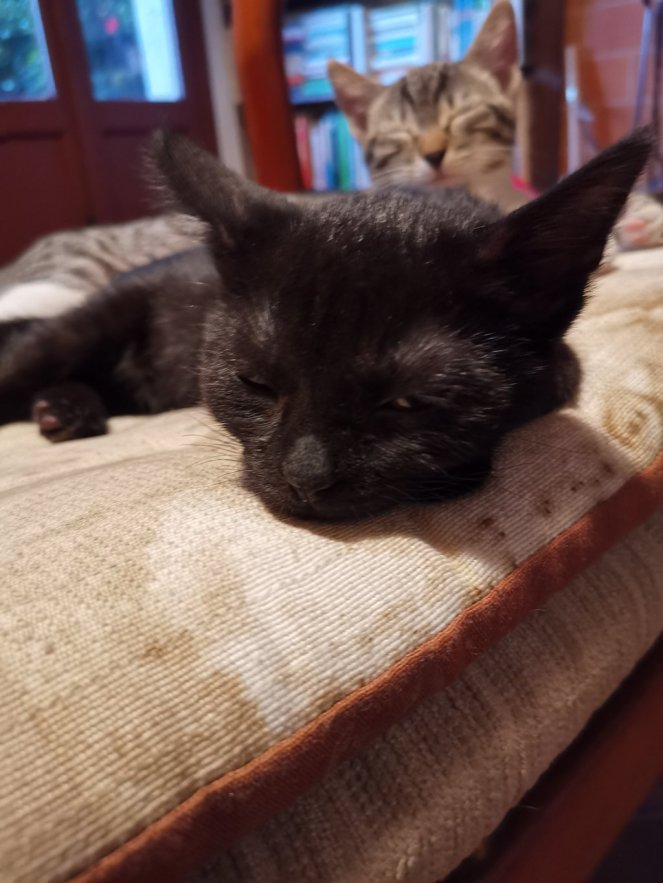 IMG_20200724_210349 (FILEminimizer)