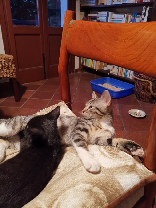 IMG_20200724_211942 (FILEminimizer)