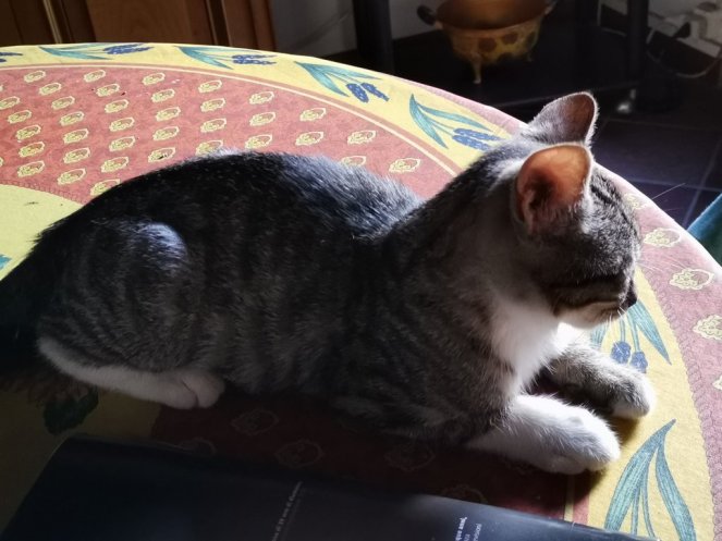 IMG_20200725_191632 (FILEminimizer)