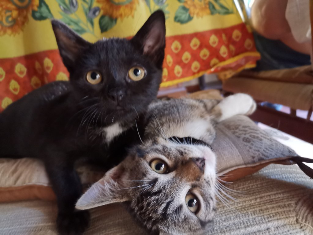 IMG_20200725_191758 (FILEminimizer)