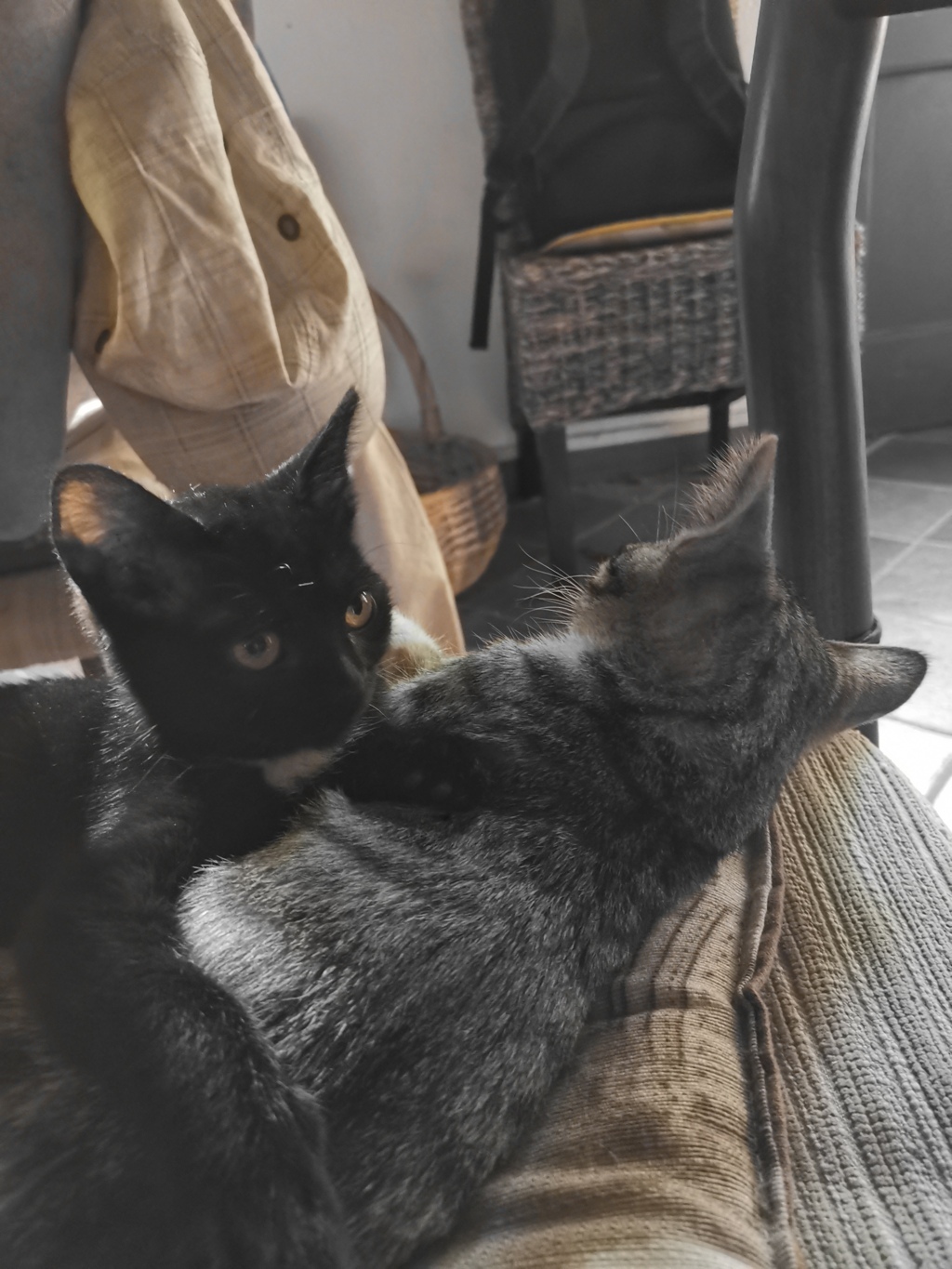 IMG_20200725_193041 (FILEminimizer)