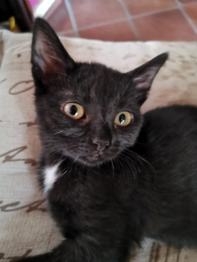 IMG_20200725_193313 (FILEminimizer)