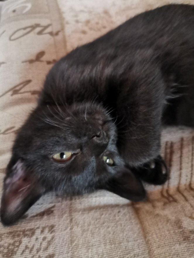 IMG_20200725_193429_1 (FILEminimizer)