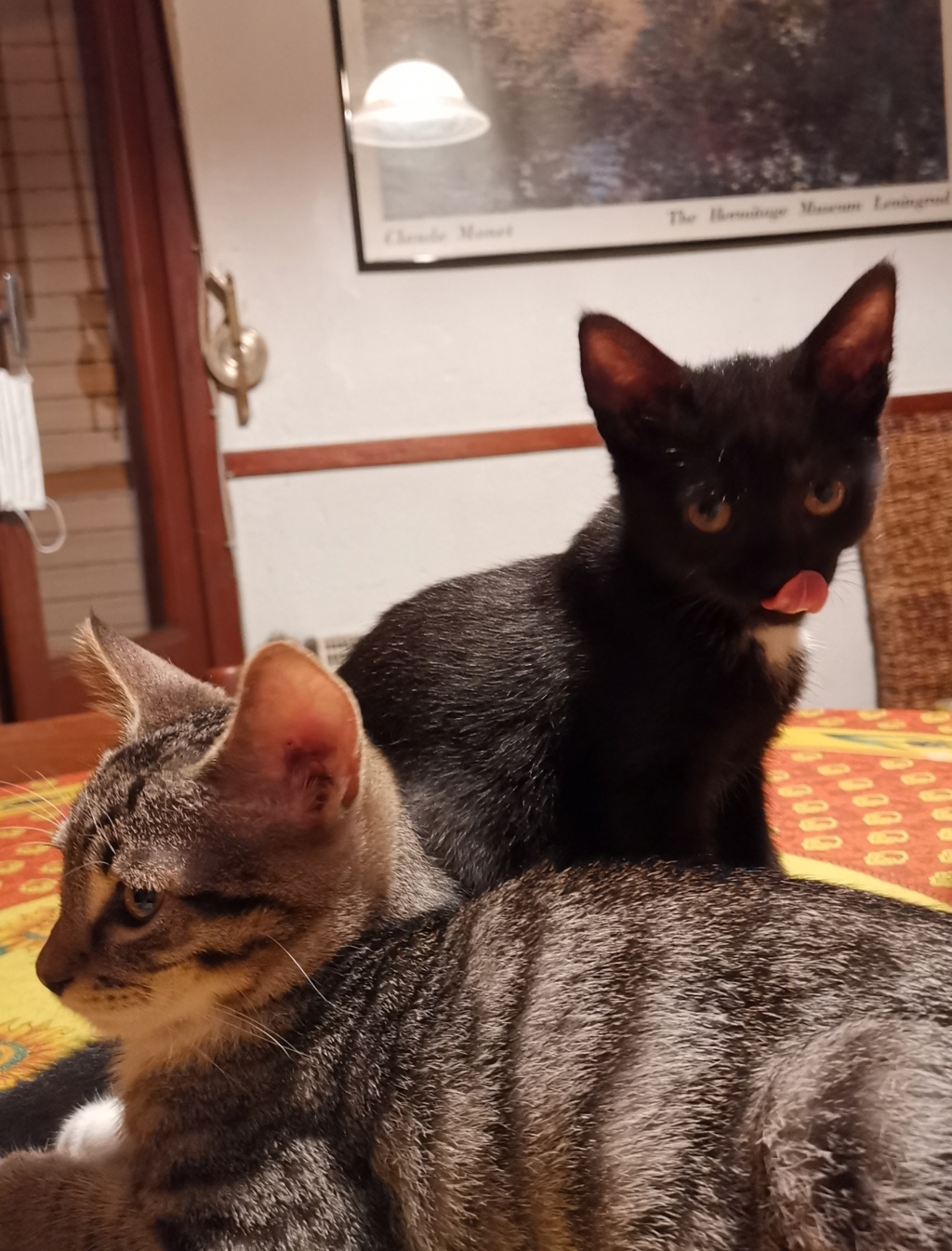 IMG_20200725_225852 (FILEminimizer)