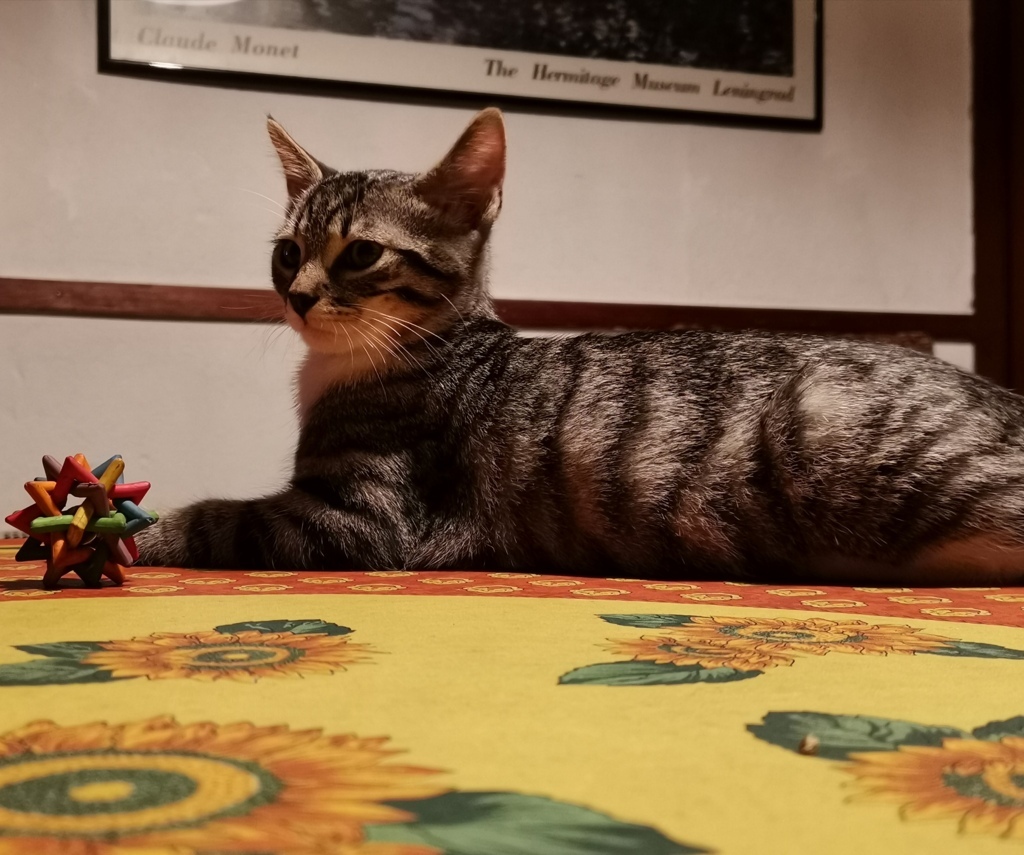 IMG_20200725_225943 (FILEminimizer)