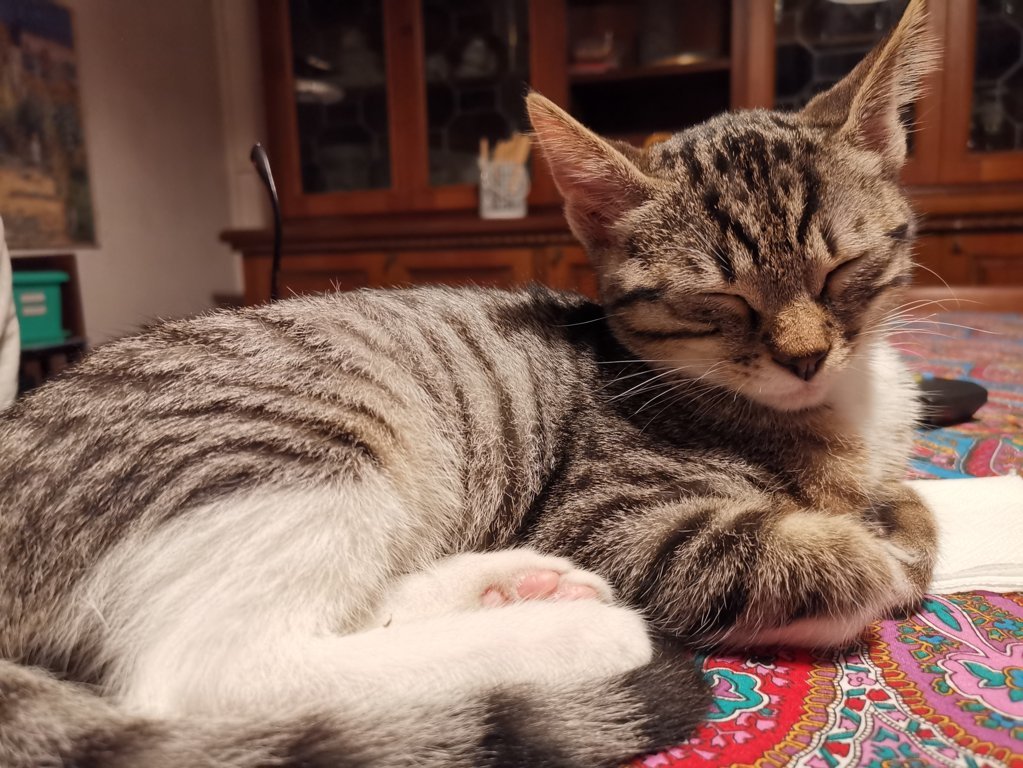 IMG_20200726_225647 (FILEminimizer)