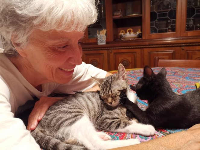 IMG_20200726_230223 (FILEminimizer)