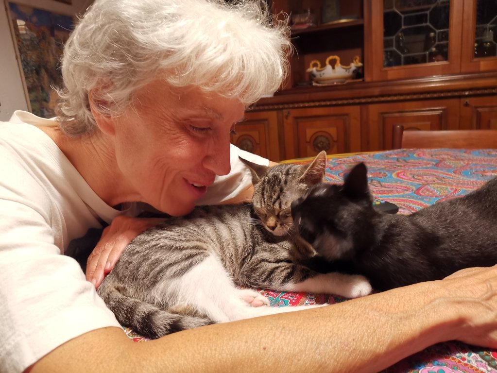 IMG_20200726_230233 (FILEminimizer)