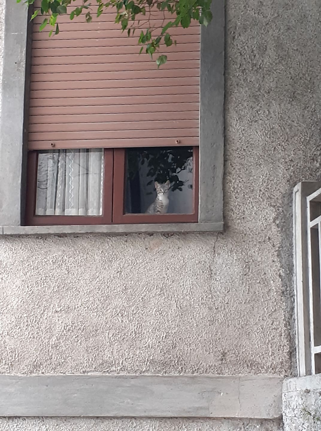 116799861_372867120371076_4479504808589838707_n