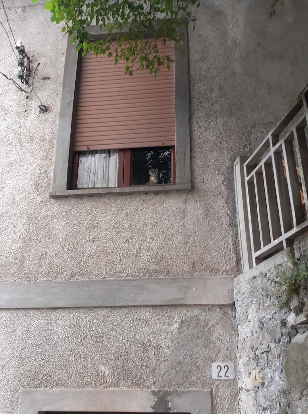 116909515_292902458477844_6883792964481353935_n